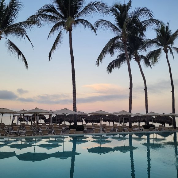 Meet your Posher, Jolene - Picture 1 of 1